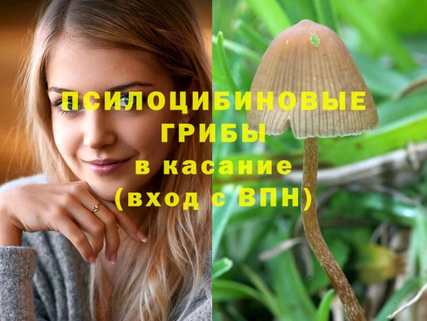 хмурый Медногорск