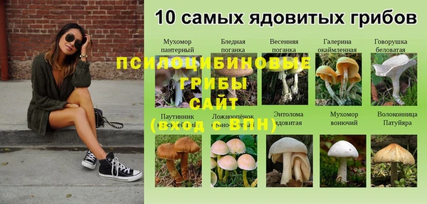 экстази Медвежьегорск