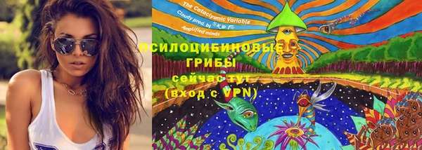 экстази Медвежьегорск