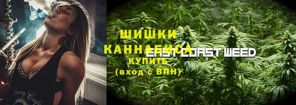 хмурый Медногорск