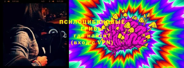 хмурый Медногорск