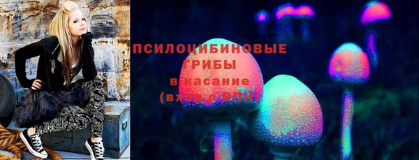 гидропоника Мегион